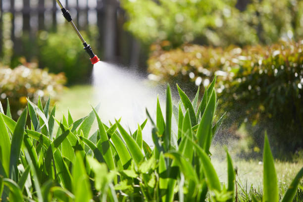 24/7 Emergency Mosquito Control experts in Boulevard Park, WA
