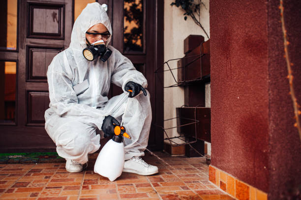 Reliable Mosquito Control contractor in Boulevard Park, WA by Show Me Pest Control